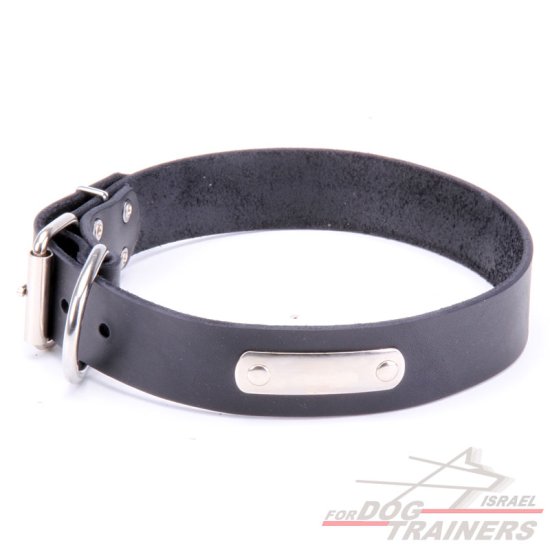 קולר עור עם תג שם בחריטה אישית!