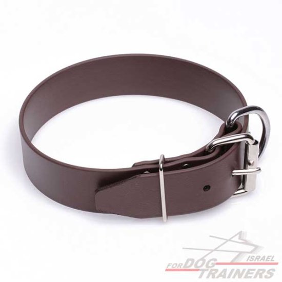 Dog-Collar-C9522_LRG