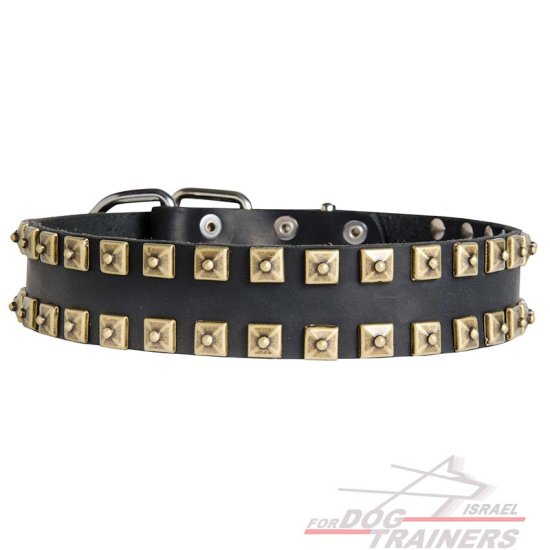 קולר עור לכלב בעבודת יד