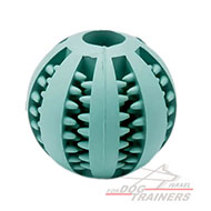 כדור לכלב להיגיינת פה טובה יותר 5 ס"מ - קטן