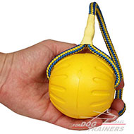 כדור ספוג לאימונים ומשחקים עם הכלב 9 ס"מ - גדול
