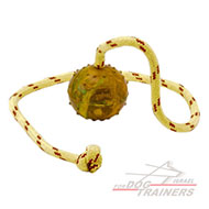 כדור אימון לכלבים על חבל עשוי גומי חלול - גודל קטן 5 ס"מ