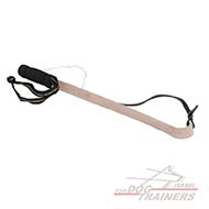 ציוד התססה - שוט הרגזה לאילוף כלבים