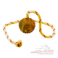 כדור אימון לכלבים על חבל עשוי גומי מוצק - גודל קטן 5 ס"מ