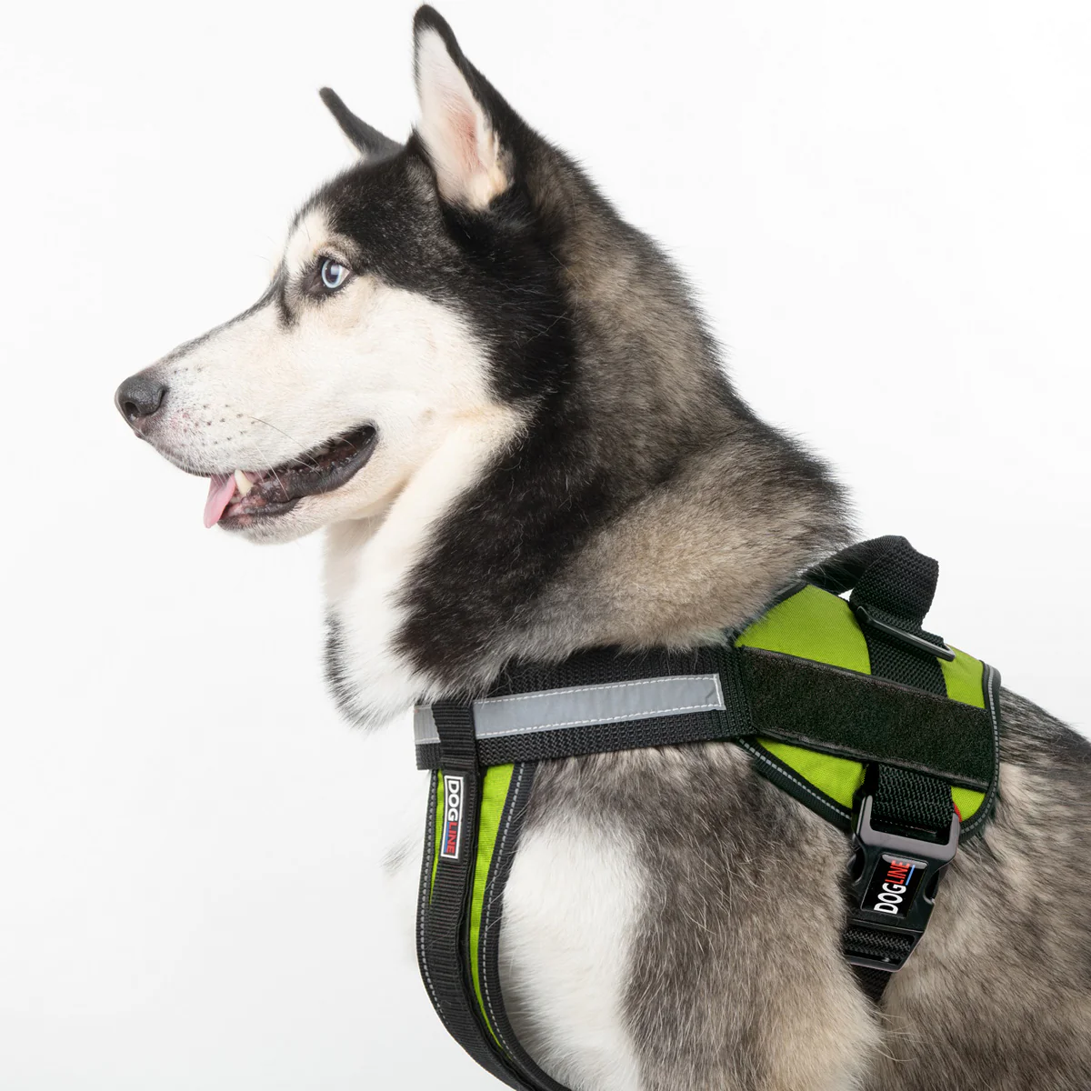UNIMAX-nylon-dog-harness-BLACK-multifunctional_07_LRG