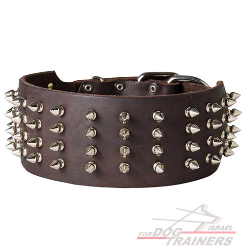 קולר מעוצב לכלב עם קישוטי קוצים