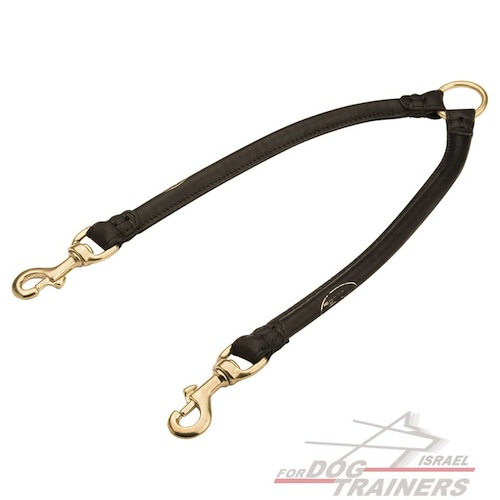 רצועת עור לכלב מעוגלת לטיולים עם 2 כלבים