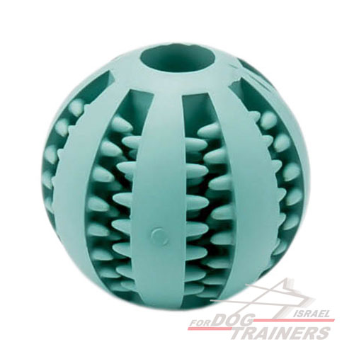 כדור לכלב להיגיינת פה טובה יותר 7 ס"מ - גדול