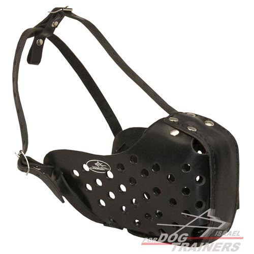 מחסום פה לכלב לאימוני תקיפה / הגנה