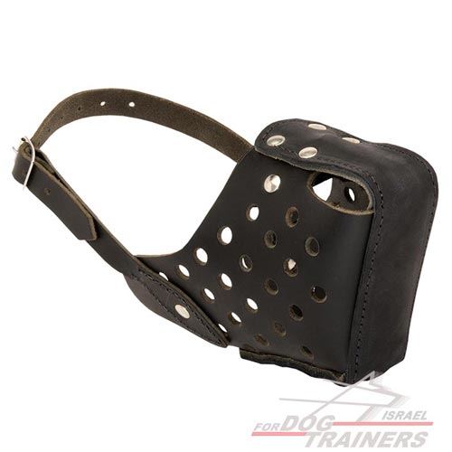 זמם לכלב הטוב ביותר לאימוני תקיפה והגנה לכלבים