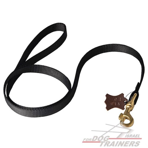 רצועה לכלב מניילון הטובה ביותר למזג אוויר גשום