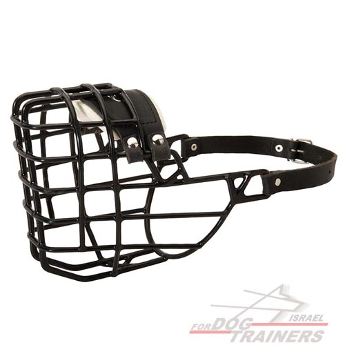 מחסום פה לכלב הטוב ביותר מכוסה בגומי - מתאים לחורף ולכל מזג אוויר