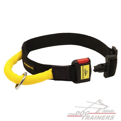 קולר לכלב מניילון מתכוונן לכל מזג-אוויר עם ידית ואבזם לשחרור מהיר