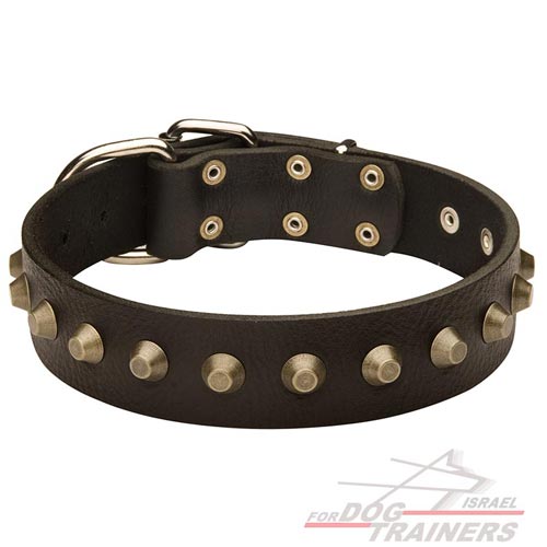 קולר לכלב מעור משגע בעיצוב בלעדי