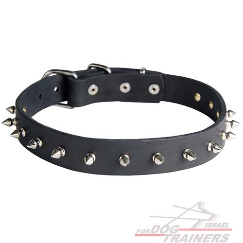 קולר לכלב מעור עם קישוט קוצני