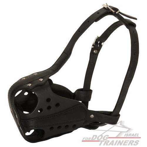 חדש! מחסום פה לכלב מיועד לכלבים עובדים