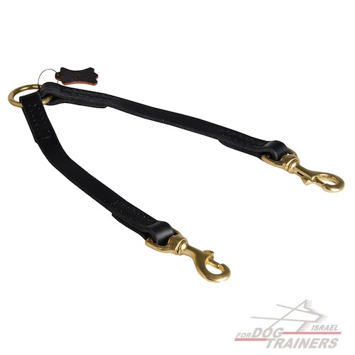 רצועה לכלב תפורה מעור לטיולים קלים עם 2 כלבים