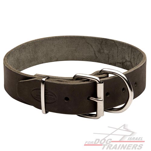 קולר לכלב מעור רך לשימוש יומיומי ברוחב 4 ס"מ