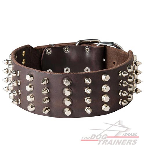 קולר לכלב מעור איכותי - מקושט ומסוגנן