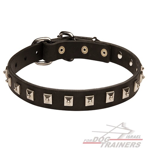 קולר עור לכלבים קטנים- בינוניים