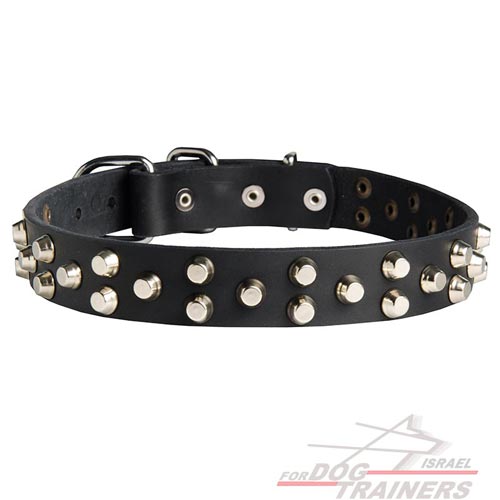 קולר לכלבים מעור עם קישוטי פרמידות