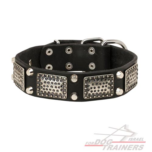 קולר לכלב מעור בסגנון מלחמתי מרהיב