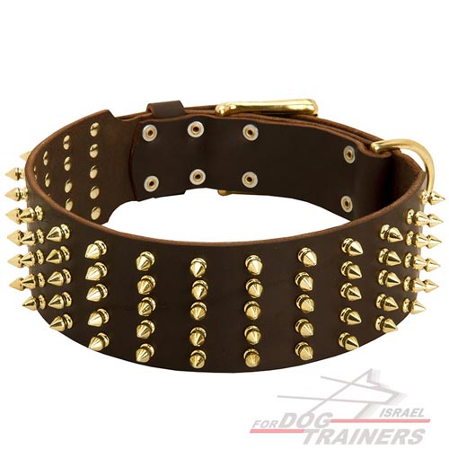 קולר עור עם ניטים זהובים