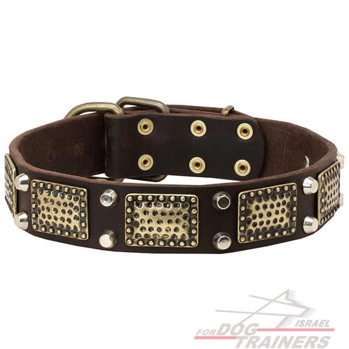 קולר לכלב מעור חזק במיוחד לאימונים ולהליכות