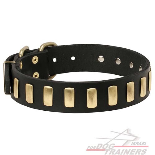 קולר לכלב רחב מעור בעיצוב מדהים ובלעדי