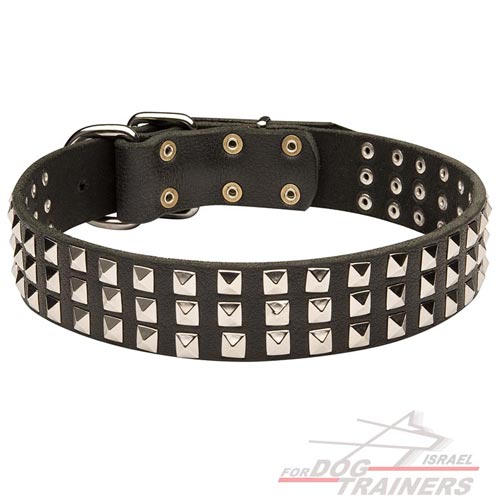 קולר לכלב מעור עם קישוט פרמידות - S45