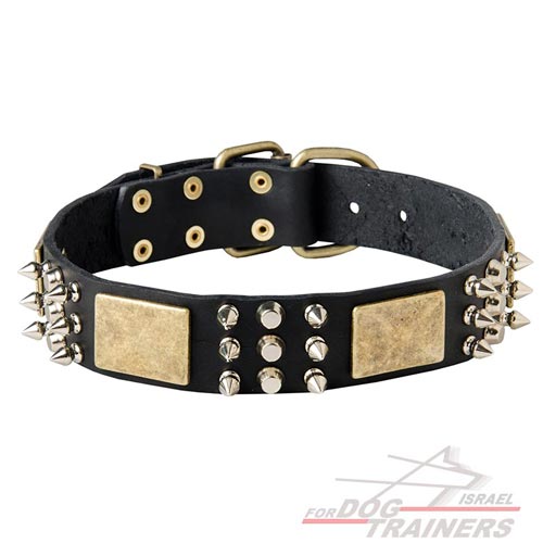קולר לכלב מעור מקושט - דגם C86