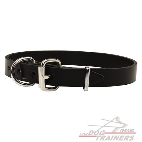 קולר לכלב מעור (2.5 ס"מ רוחב)