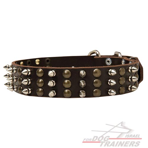 קולר לכלבים מעור - אופנתי ומקושט