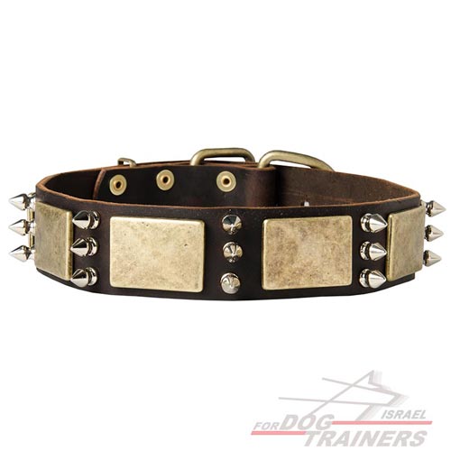 קולר לכלבים מעור בסגנון יוקרתי