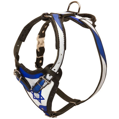 רתמת עור לכלב "ארץ הקודש" לגישוש ולהליכות