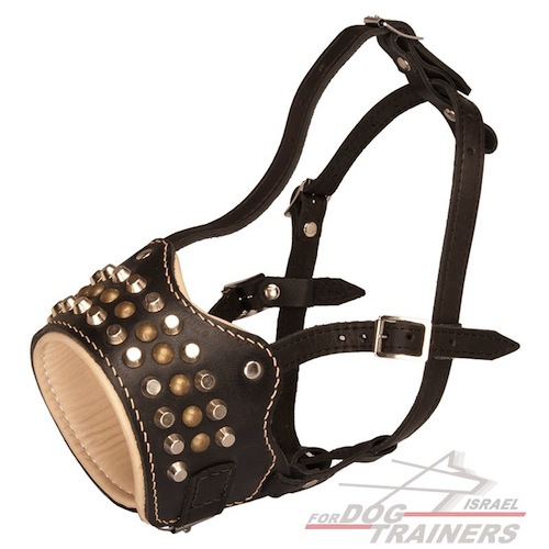 מחסום פה מלכותי לכלב עם ניטים ופירמידות