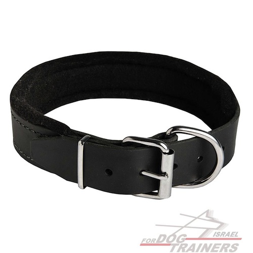 קולר לכלב מרופד מעור- רוחב 4.5 ס"מ