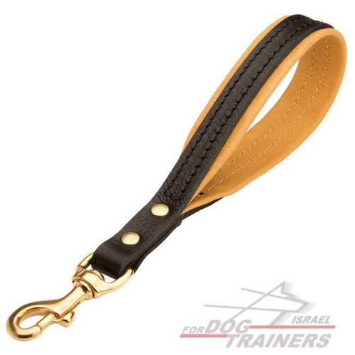 רצועת עור לכלב לאימונים עם ריפוד רך מעור נאפה