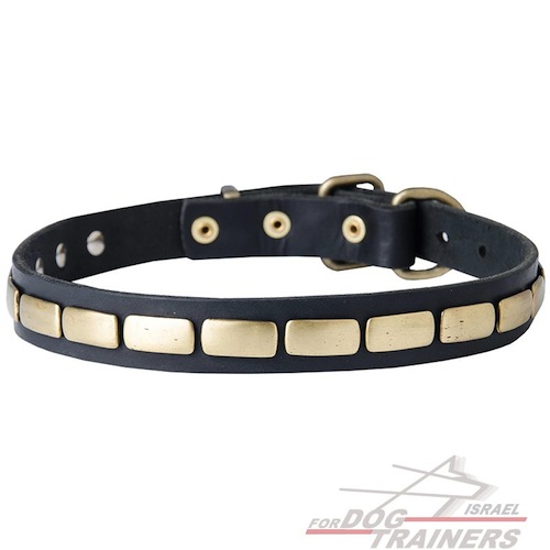 קולר לכלב מעור בעיצוב מעודן מושלם ליום-יום