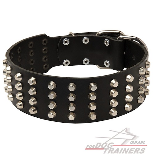 קולר לכלבים מעור רחב ומסוגנן