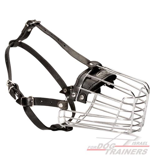 זמם לכלב עשוי מתכת דמוי סל