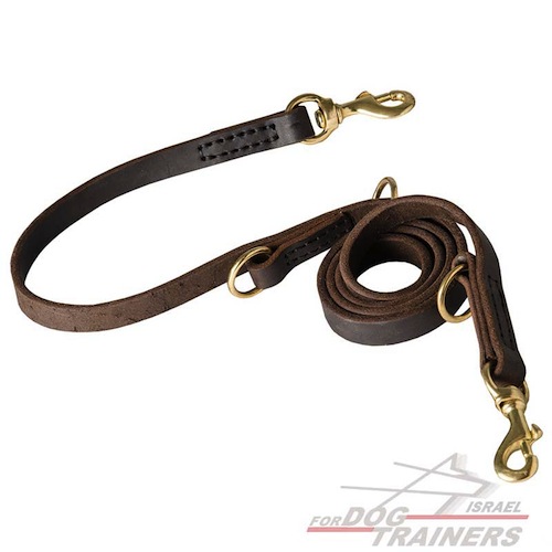 רצועת עור לכלב רב תכליתית בעיצוב משטרתי