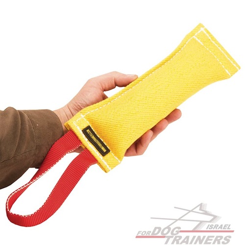 פפירול לכלבים צעירים מפשתן צרפתי עם ידית אחיזה אחת