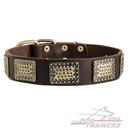 חדש! קולר לכלב מעור כמו בסרטים