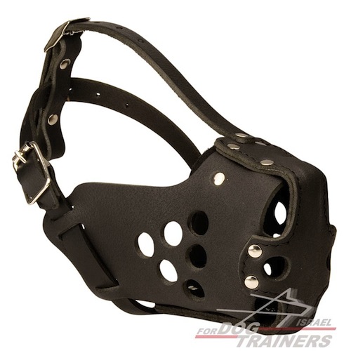 מחסום פה צבאי לכלב לאימונים, משטרה, תקיפה