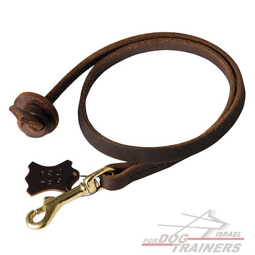 רצועת כיס מקצועית מעור לכלב לאימונים