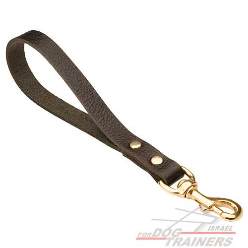 רצועת עור לכלב קצרה לשליטה טובה יותר