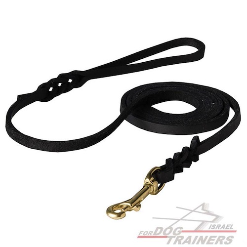 חדש! רצועת אחיזה באיכות גבוהה לכלב לתערוכות ולטיולים