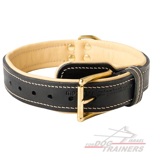 קולר לכלב מעור עם בטנה מנאפה - בסגנון מלכותי