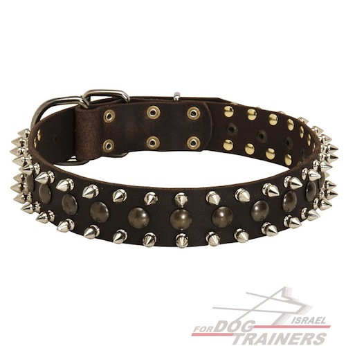 קולר לכלב מעור מקושט ומשובץ